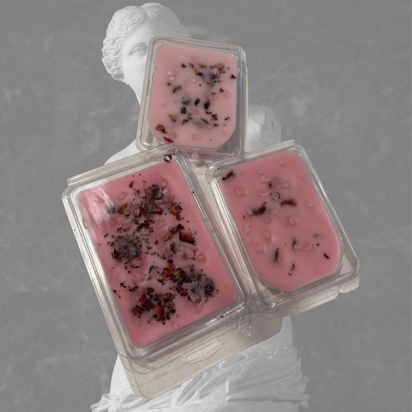 Aphrodite Small Clamshell