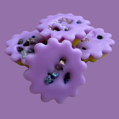 Zodiac Signs Wax Melts
