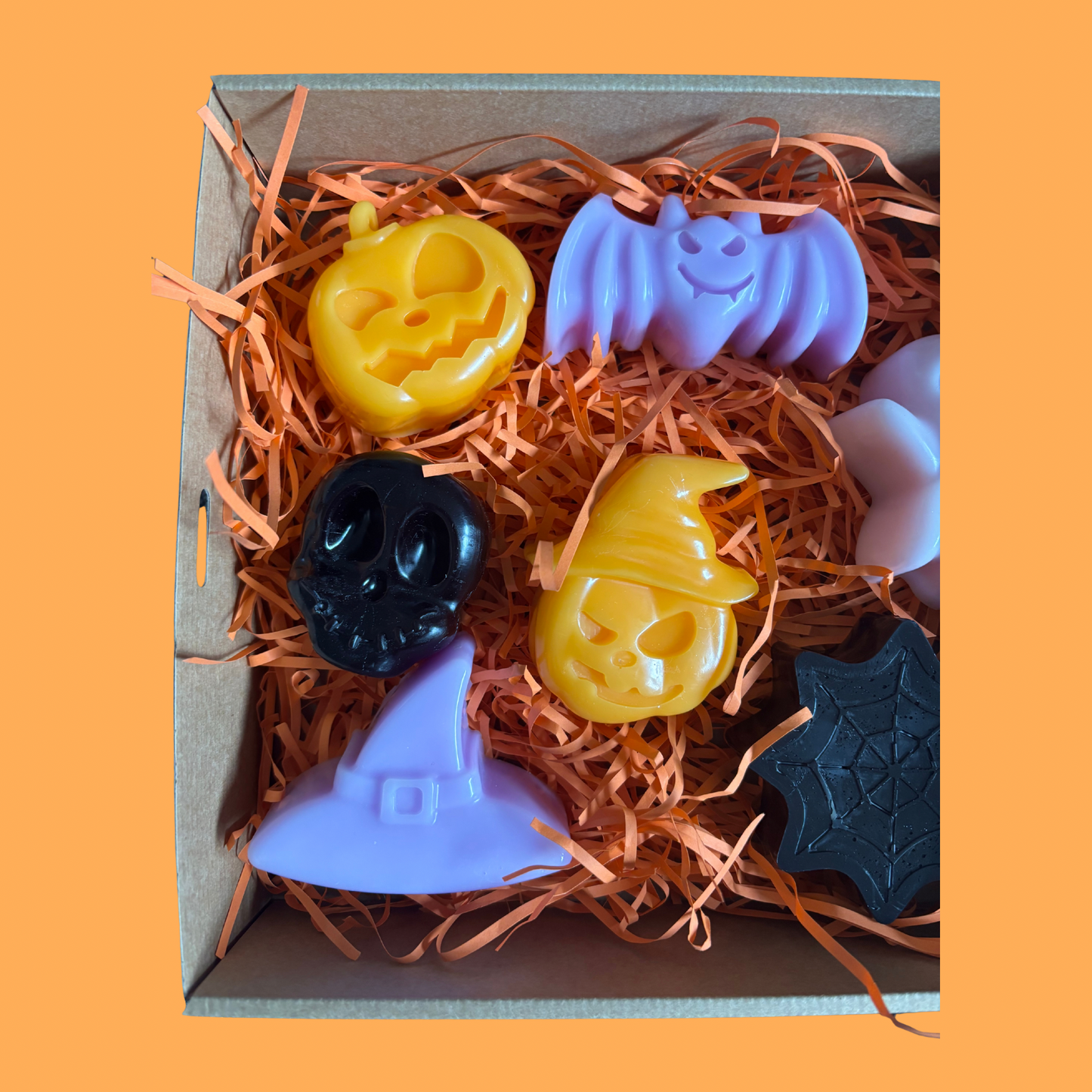 Bats, Bones and Spirits Oh MY!