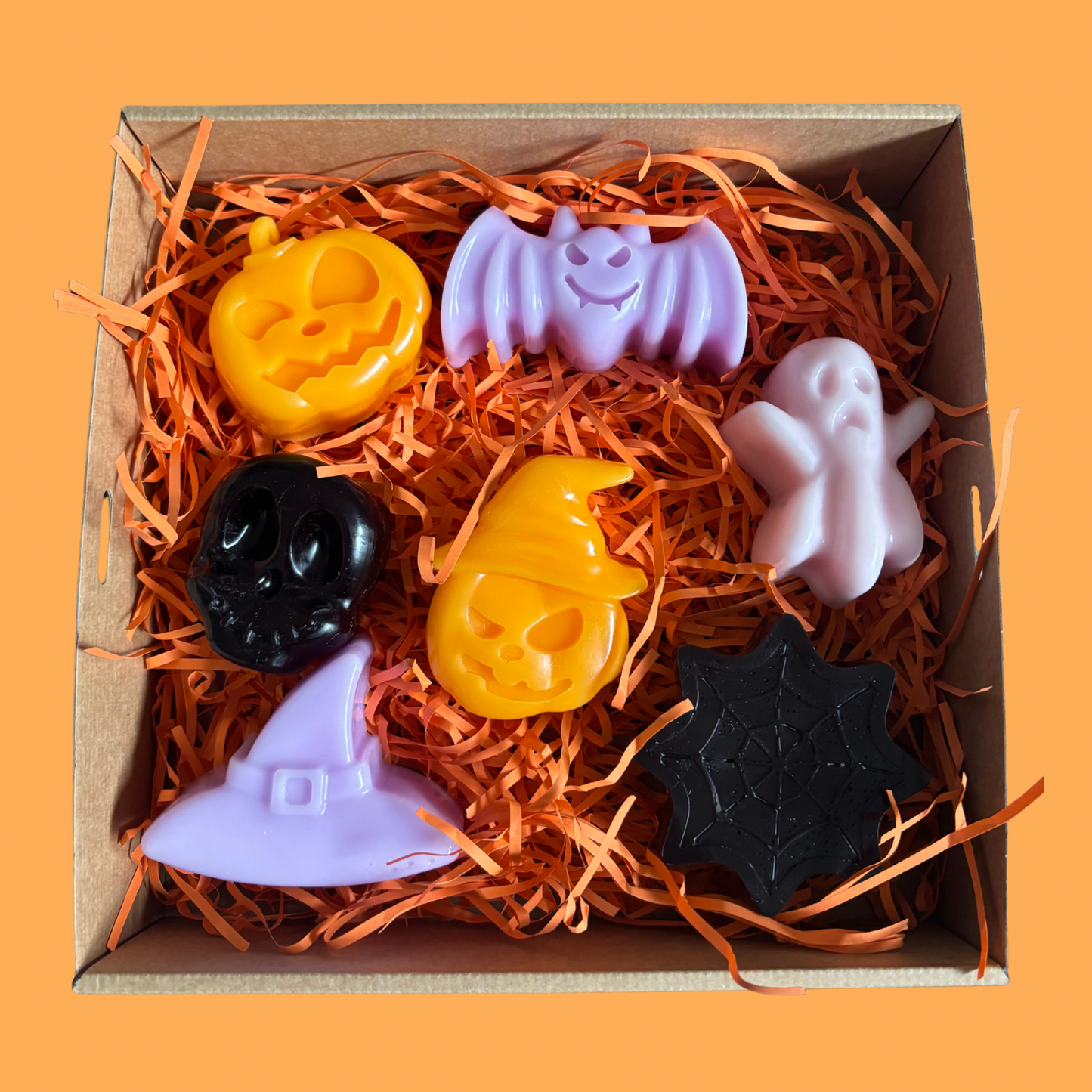 Bats, Bones and Spirits Oh MY!