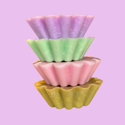 Mystery Wax Melts