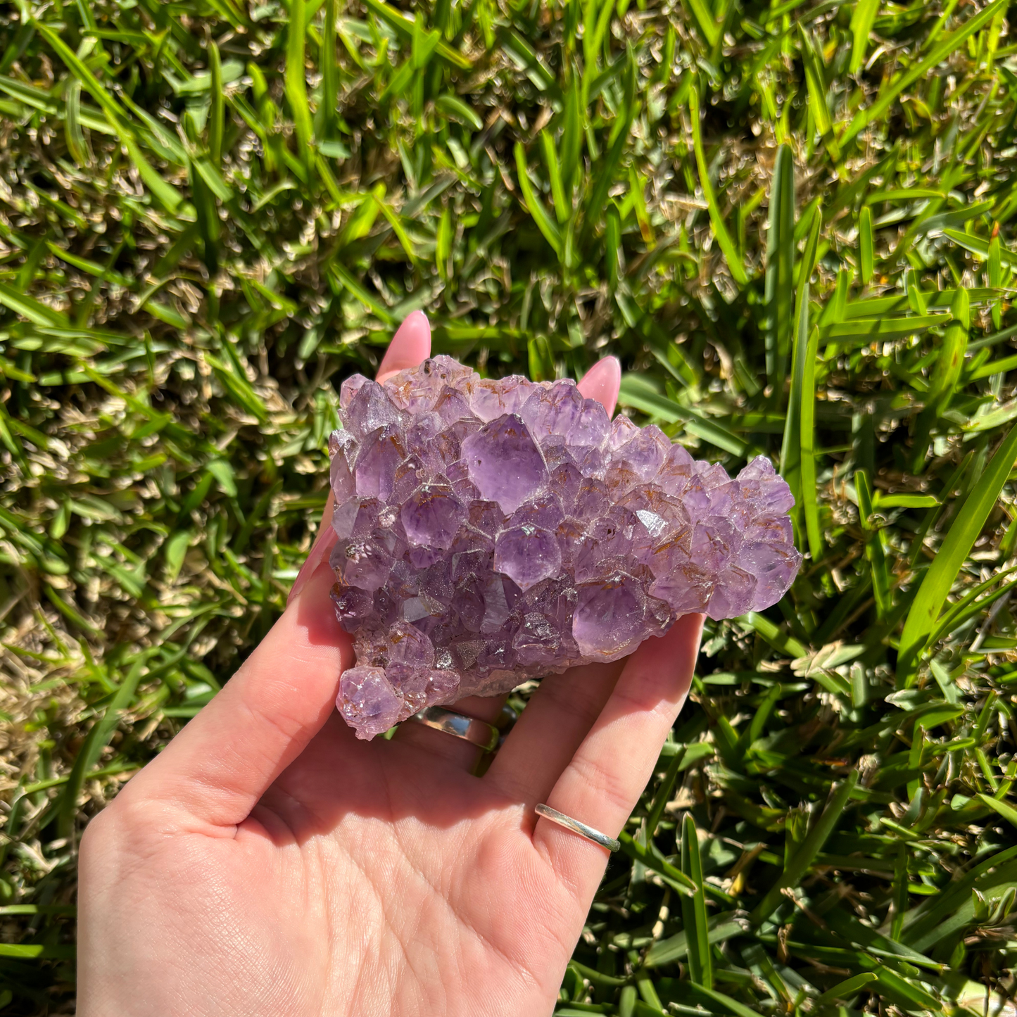 Amethyst Cluster