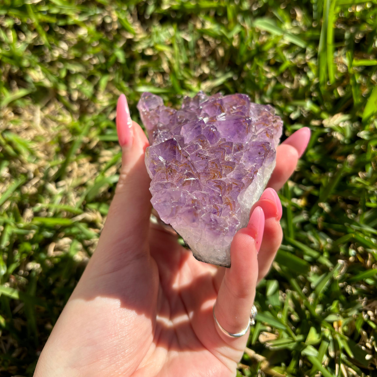 Amethyst Cluster