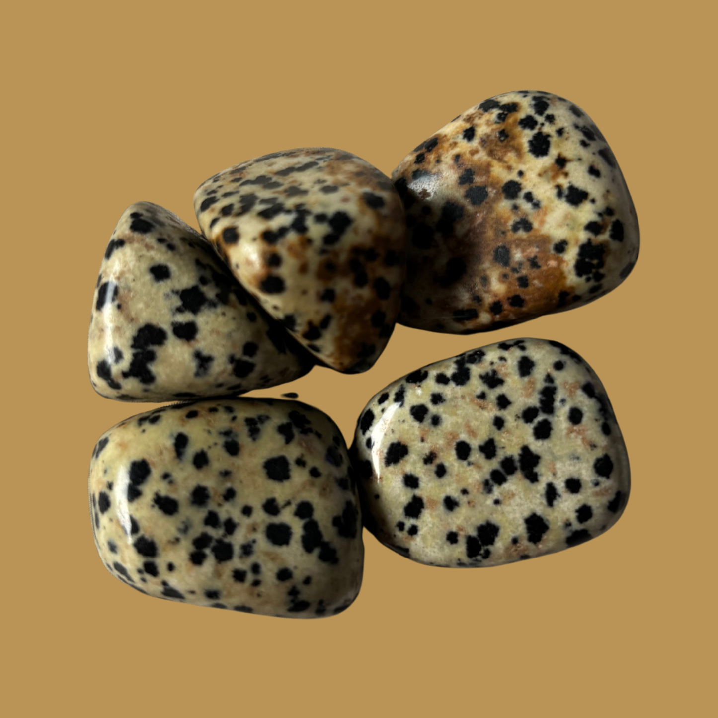 Dalmatian Jasper Tumbled Stone