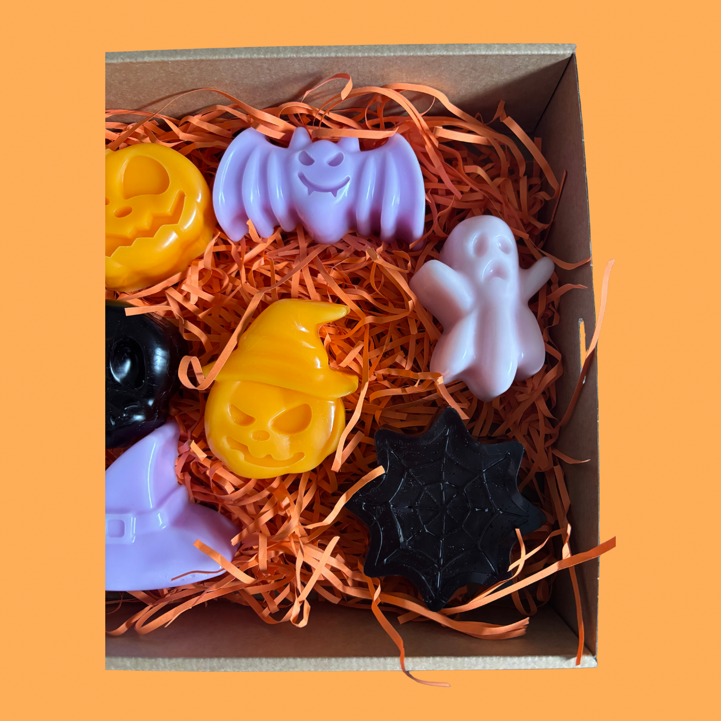 Bats, Bones and Spirits Oh MY!