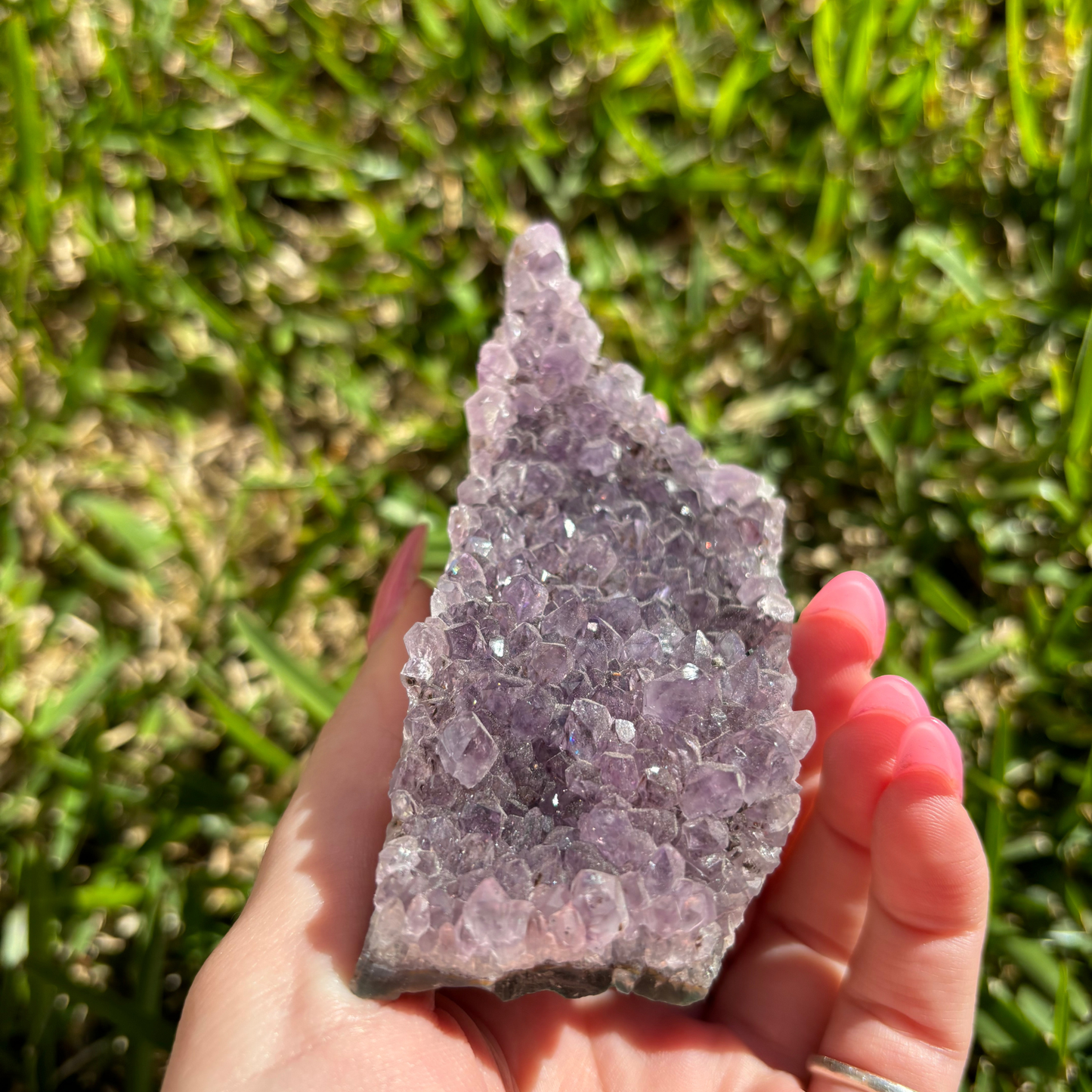 Large Amethyst Cluster