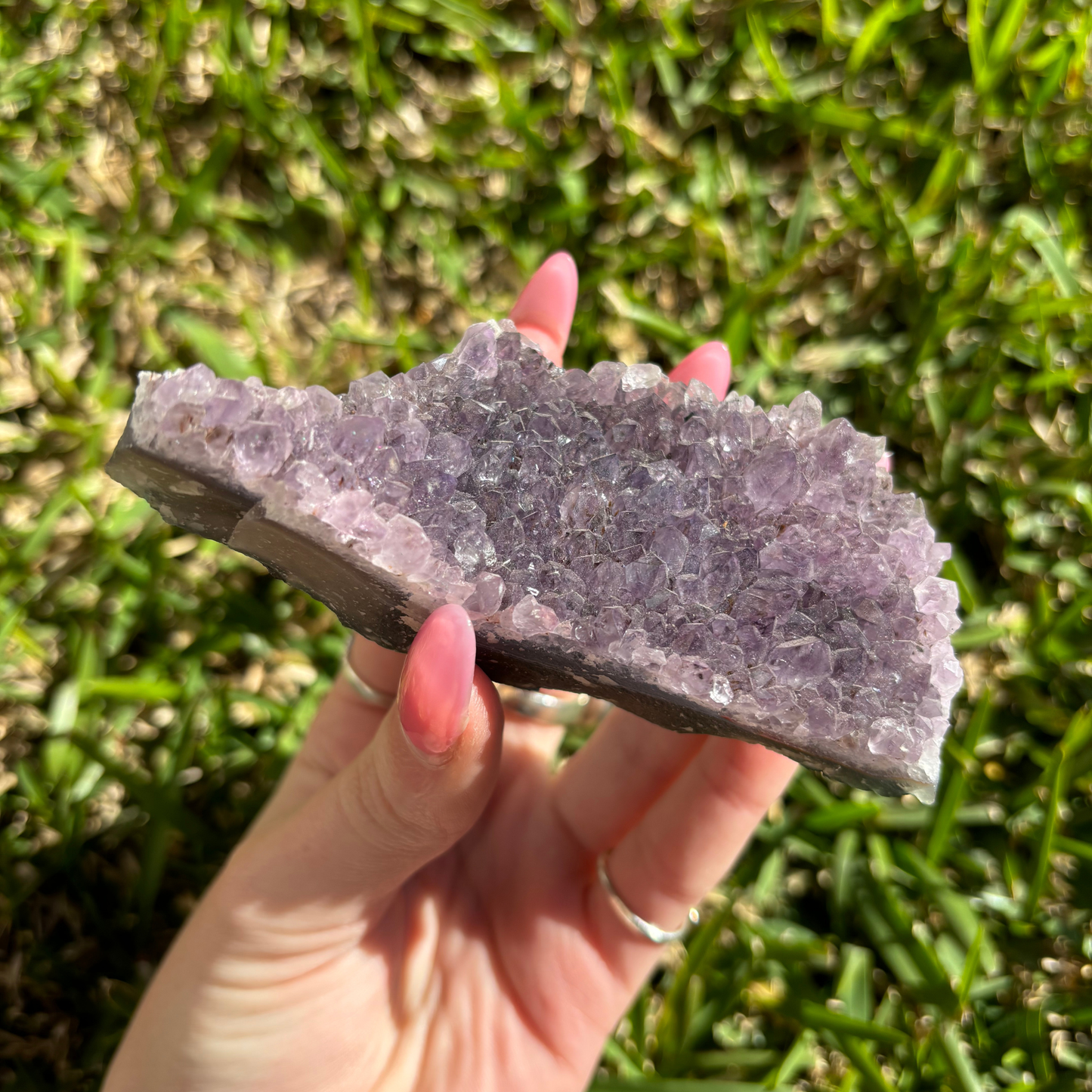 Large Amethyst Cluster