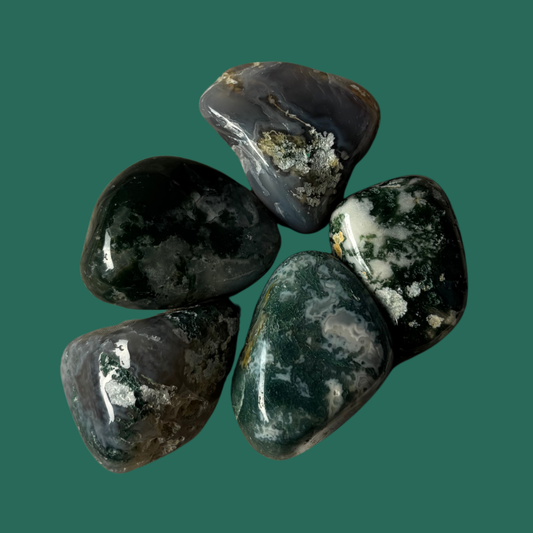 Moss Agate Tumbled Stone