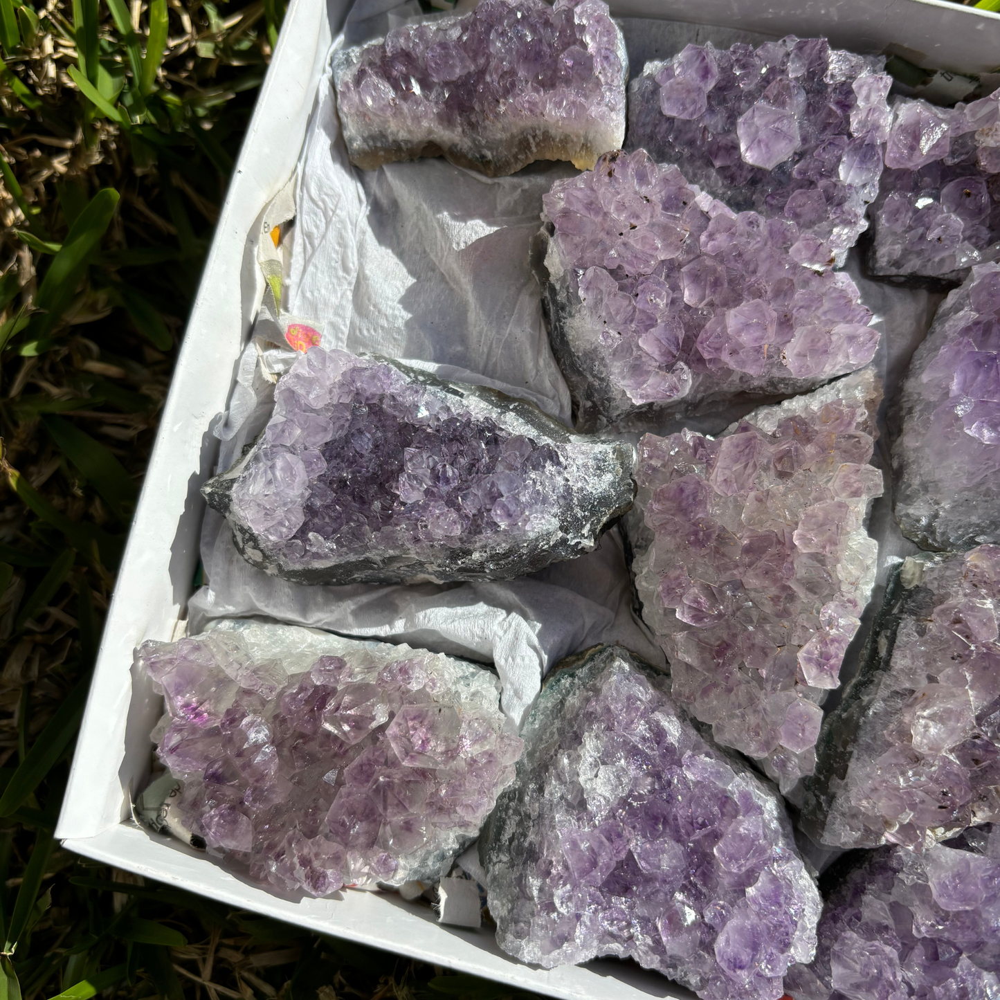 Small Amethyst Clusters