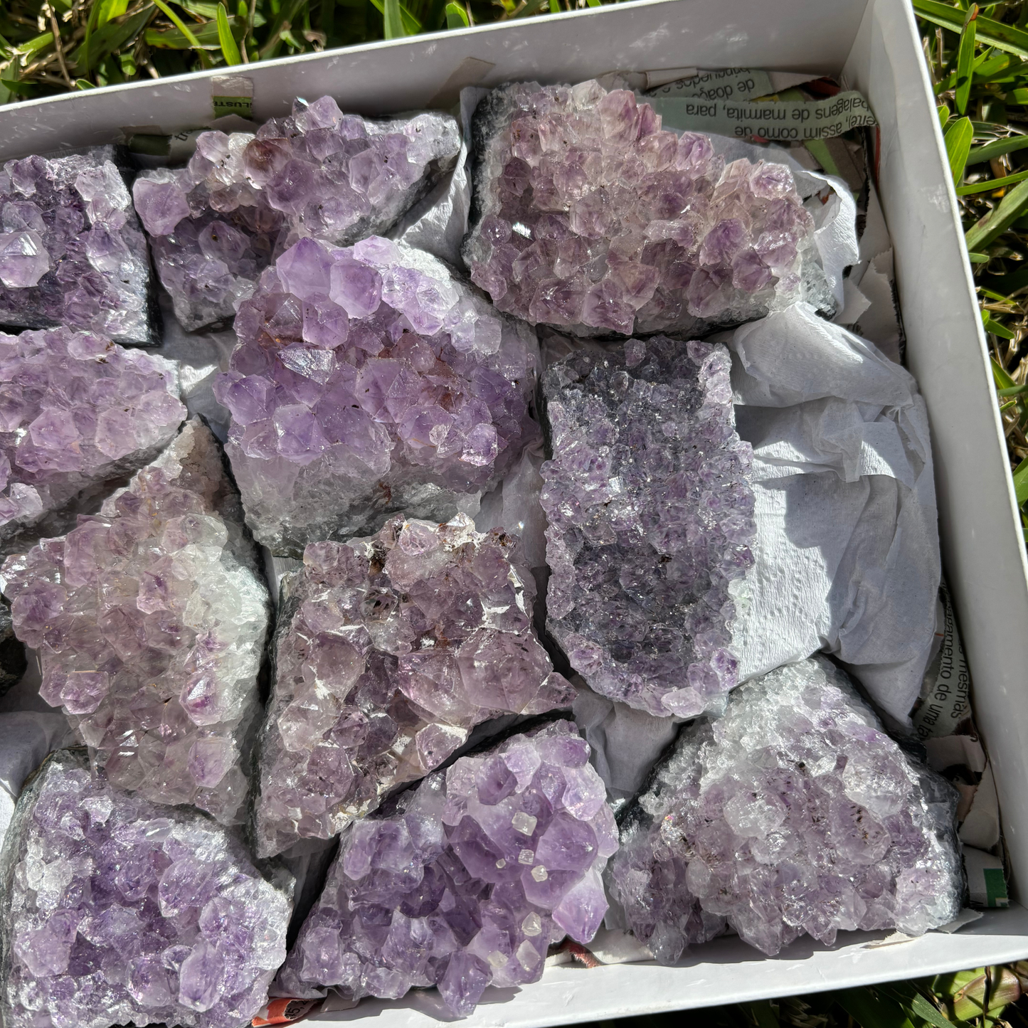 Small Amethyst Clusters