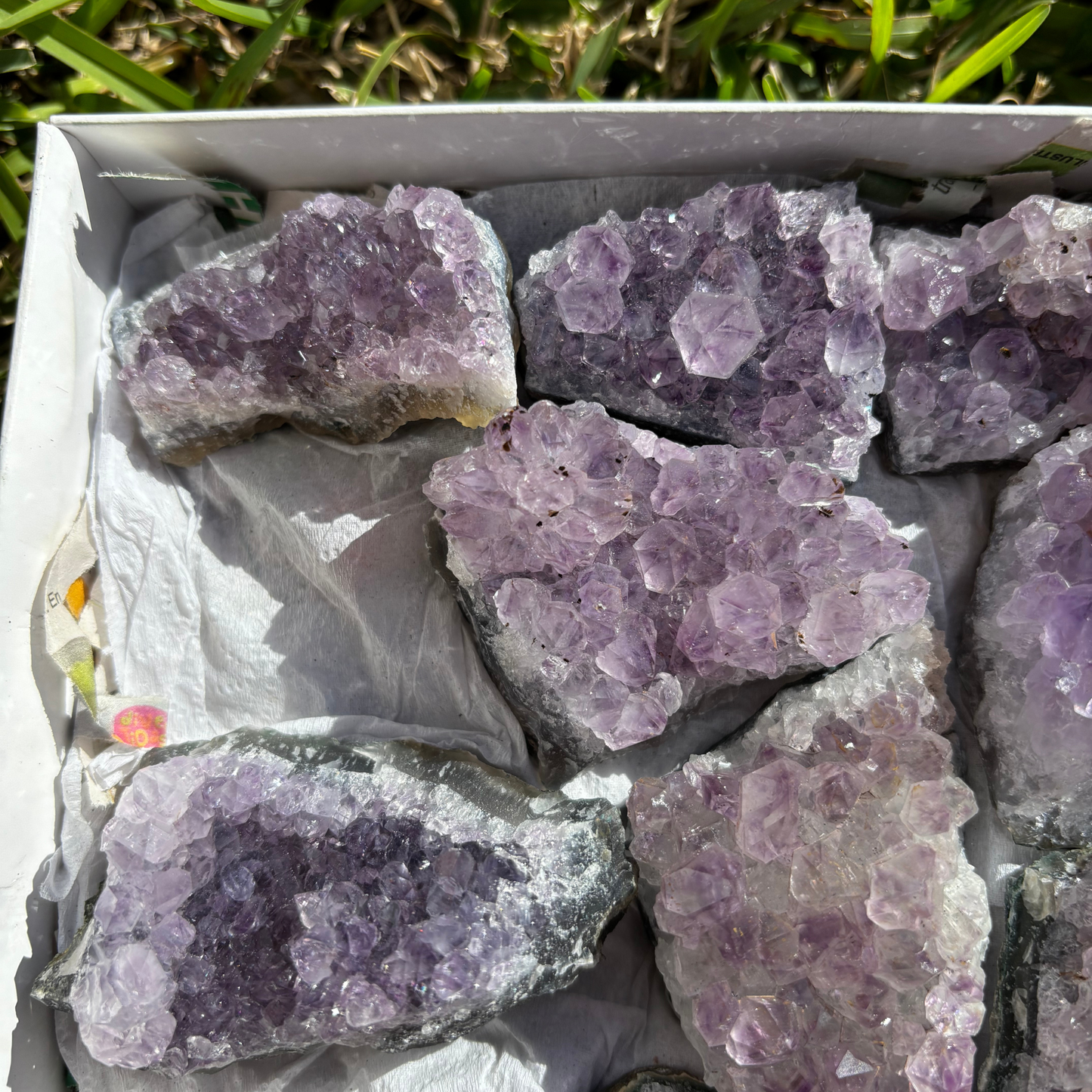 Small Amethyst Clusters