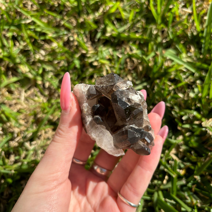 Smoky Quartz Cluster
