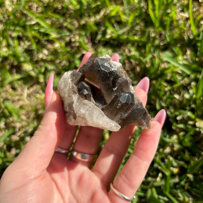 Smoky Quartz Cluster