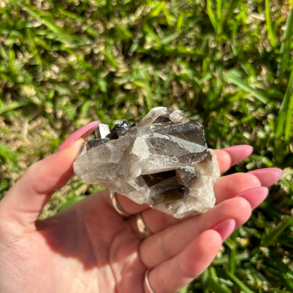 Smoky Quartz Cluster